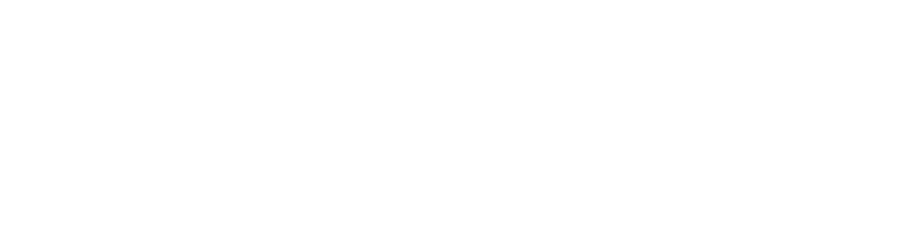 RACEL d.o.o. – poslovne storitve